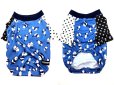 画像1: 【冷感クール】スターPANDA（青）Tシャツ (1)