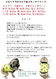 画像5: ■犬服完成品■　Mサイズ　イーグル柄タンク赤(前メッシュ） (5)