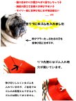 画像6: 再販【クール】Check＆Dot　ブルー (6)